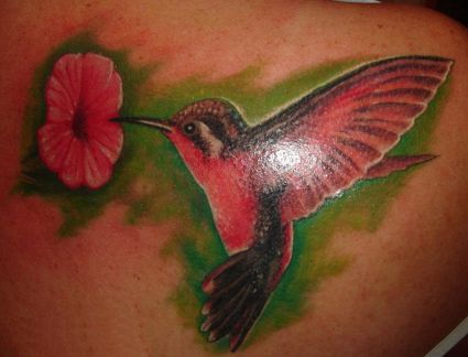 Hummingbird And Flower Pics Tattoo On Back